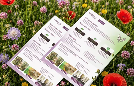 Tištěné materiály značky Biogama položené v rozkvetlé louce